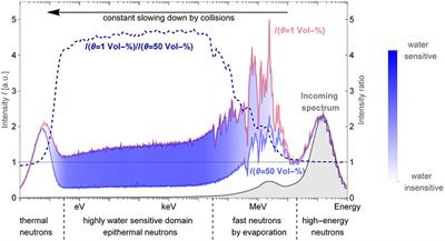 Large-Scale Boron-Lined Neutron Detection Systems as a 3He Alternative for Cosmic Ray Neutron Sensing